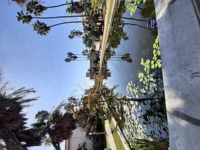 Foto 59164813