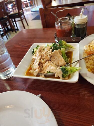 Thai Orchid Thai Cuisine