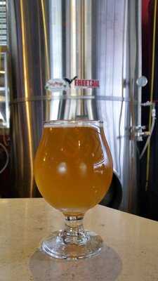 Freetail Brewing Co.