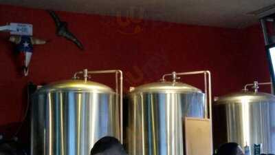 Freetail Brewing Co.