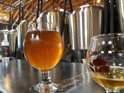 Dialogue Brewing