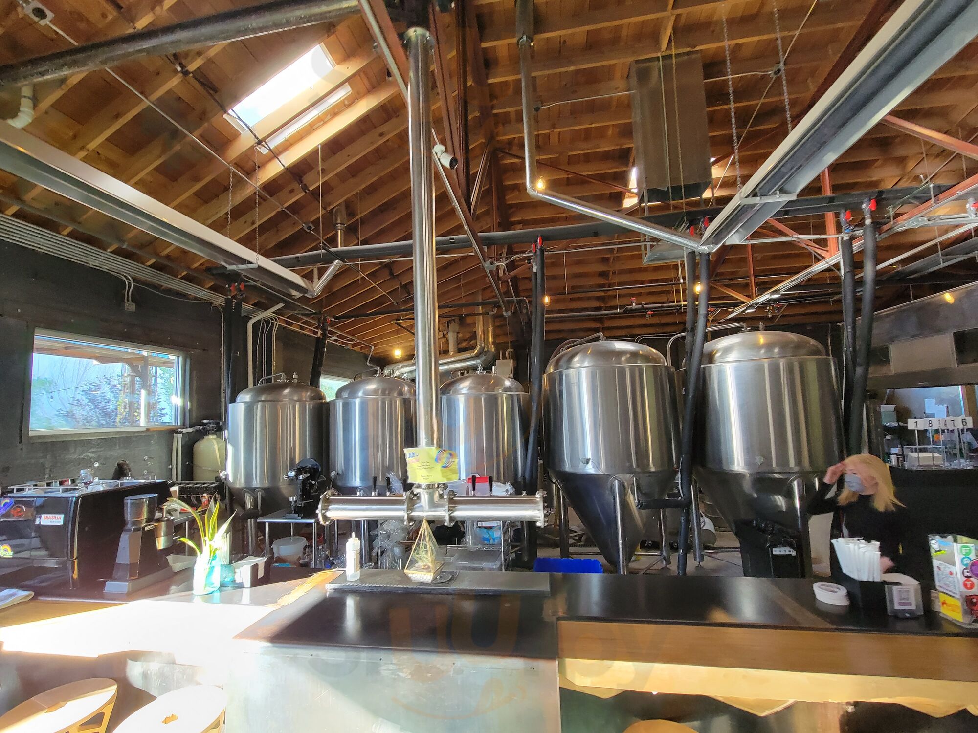 Dialogue Brewing