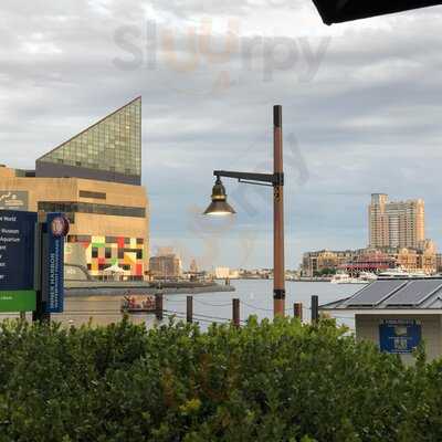 The Cheesecake Factory