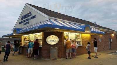 Handel's Homemade Ice Cream & Yogurt