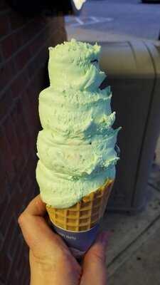 Handel's Homemade Ice Cream & Yogurt