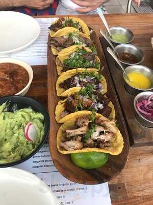 Tacolicious