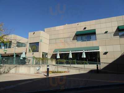 Quarter Celtic Brewpub