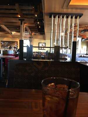 Lazy Dog Restaurant & Bar