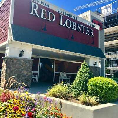 Red Lobster