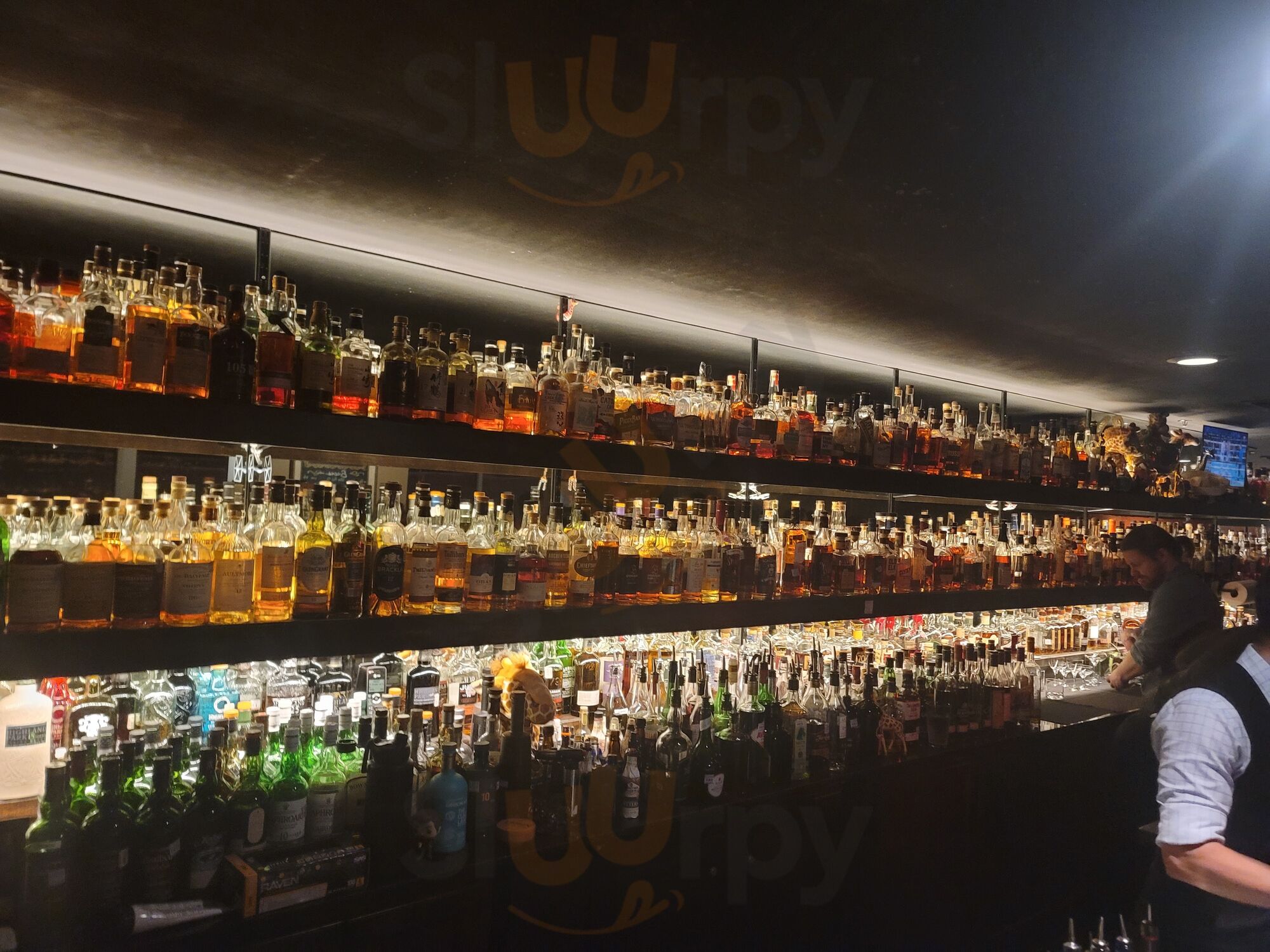 Bar 1919