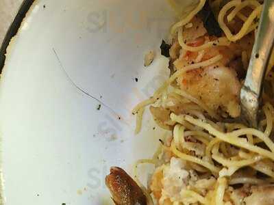 The Cheesecake Factory