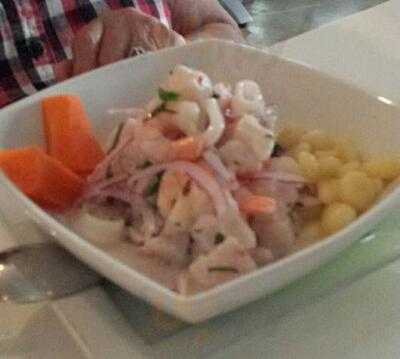 Embarcadero 41 Fusion