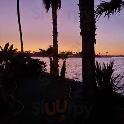 Barefoot Grill & Bar