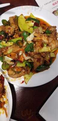 Fortune Noodle House