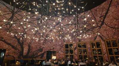 Kumi Japanese Restaurant And Bar