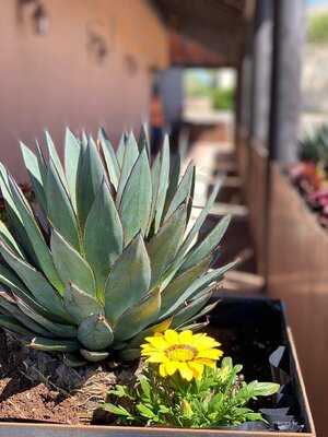 Gabriel's Restaurant & Bar