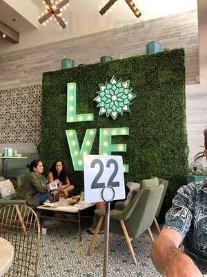 Tocaya Organica - San Diego