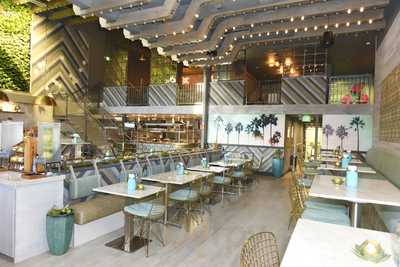 Tocaya Organica - San Diego