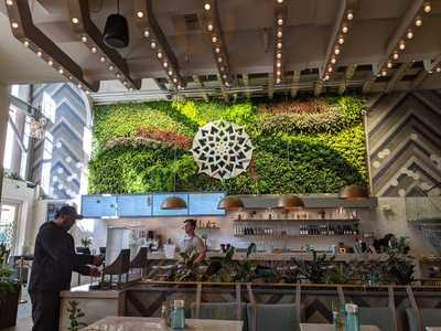 Tocaya Organica - San Diego