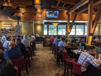 Lazy Dog Restaurant & Bar