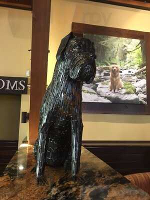 Lazy Dog Restaurant & Bar