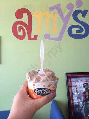 Amy's Ice Cream