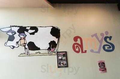 Amy's Ice Cream