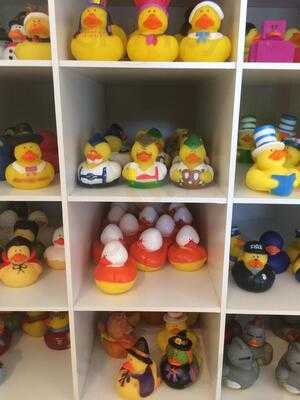 Groovy Duck Bakery And Cafe