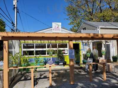 Ezra's Enlightened Cafe