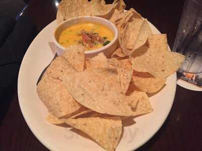 Bj's Restaurant & Brewhouse