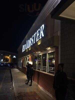 Red Lobster