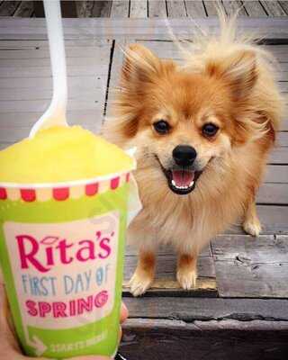 Rita's Italian Ice