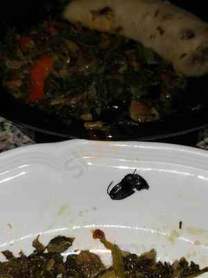 Top Choice Jamaican Restaurant