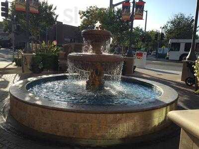 Willow Glen Frozen Yogurt