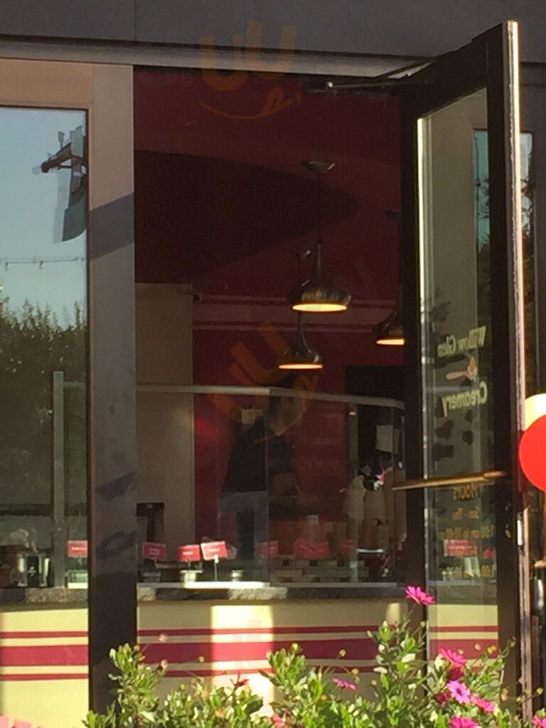 Willow Glen Frozen Yogurt
