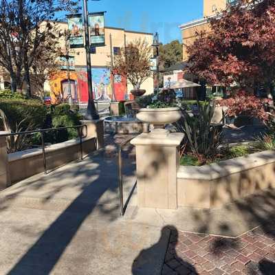 Willow Glen Frozen Yogurt