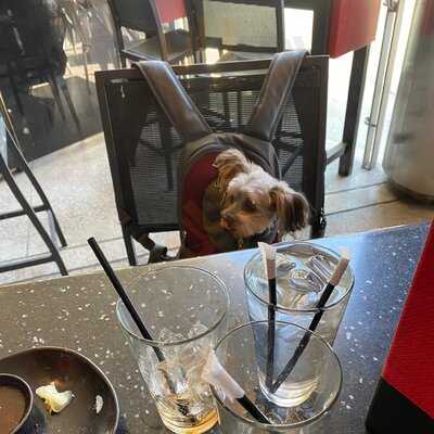 Ra Sushi Bar Restaurant