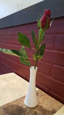 Foto 17452247