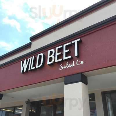 Wild Beet Salad Company