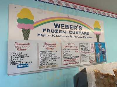 Webers Premium Custard & Ice