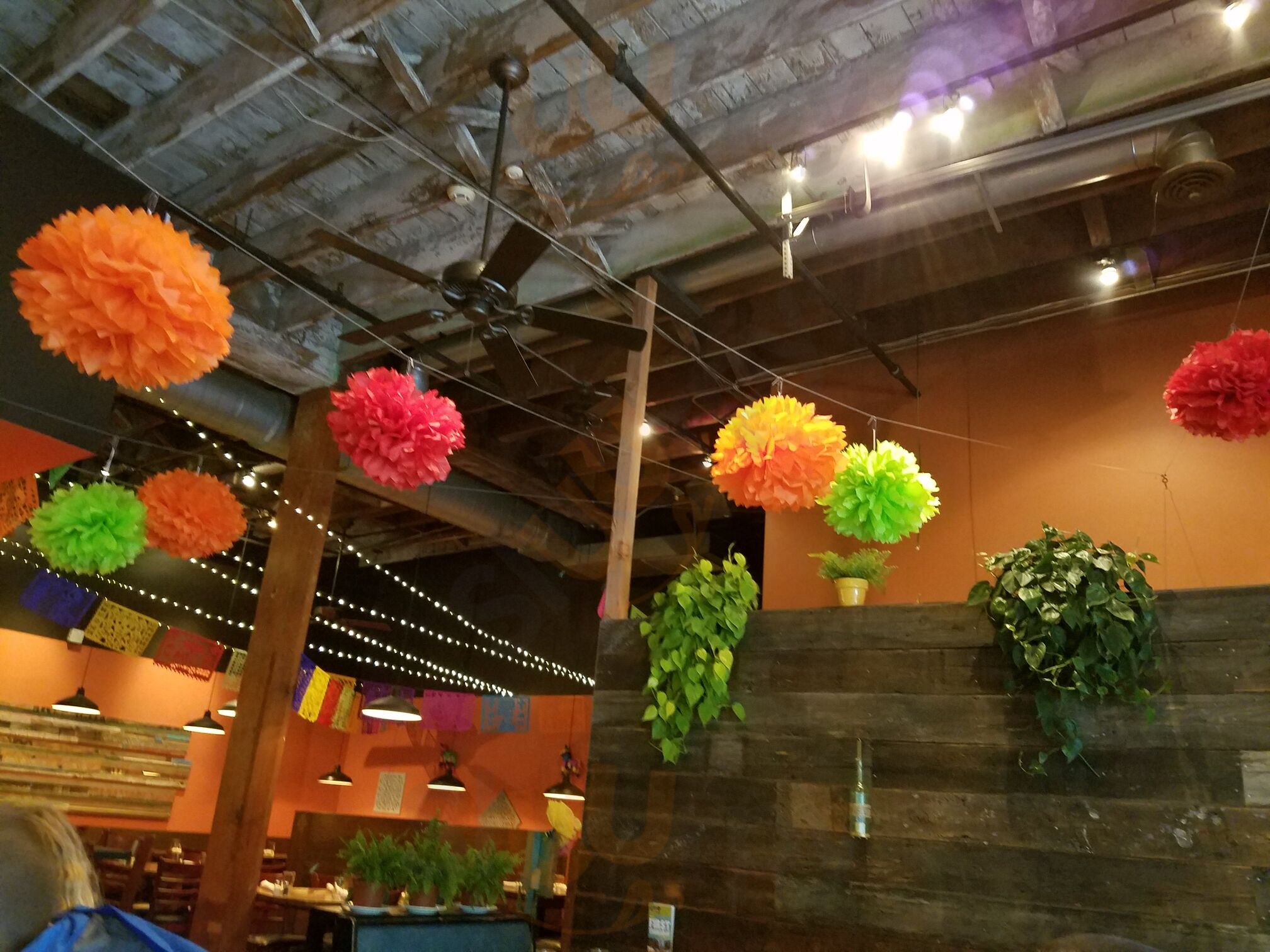 Verde Cocina En La Perla