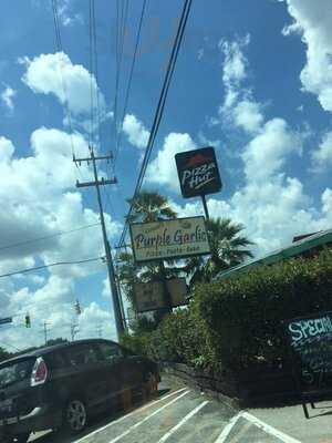 Cerroni's Purple Garlic