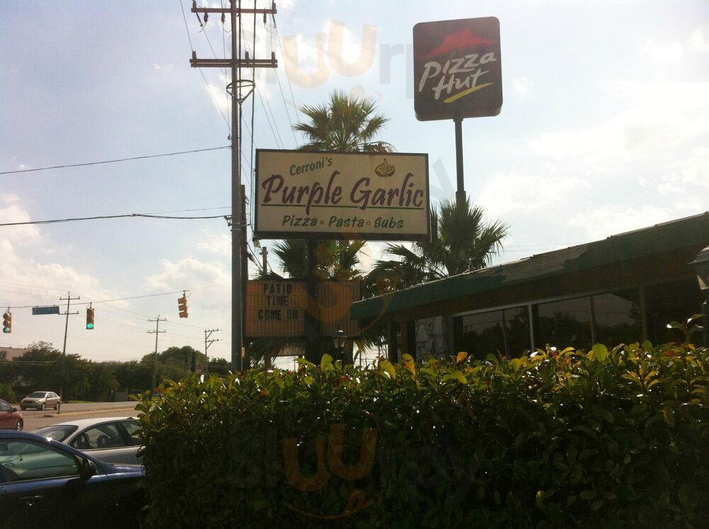 Cerroni's Purple Garlic