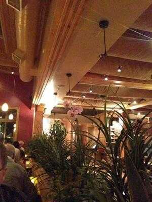 Little Ollie's Asian Cafe