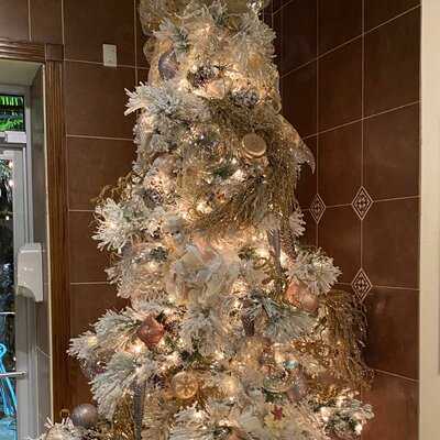 Chocolate Secrets And Wine