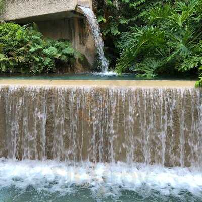 Hofbrau & Beer Garden