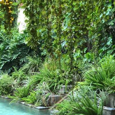 Hofbrau & Beer Garden