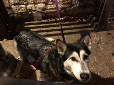 Hofbrau & Beer Garden