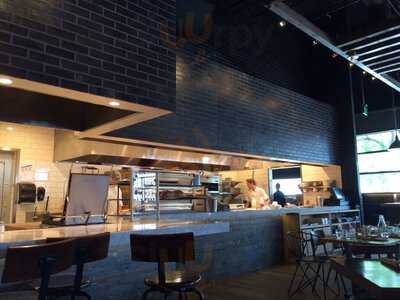 Stella Barra Hollywood