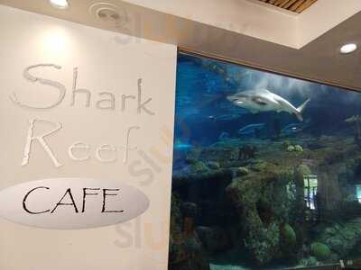 Shark Reef Cafe